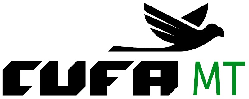 Logo Associação de Desenvolvimento Social das Favelas